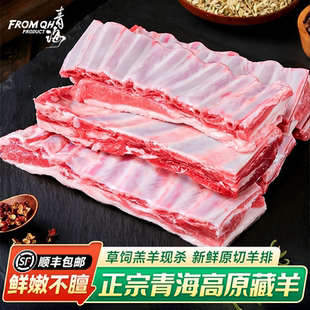 正宗青海藏羊羊排高原散养羔羊现杀羊肋排原切羊排骨羊小排生鲜