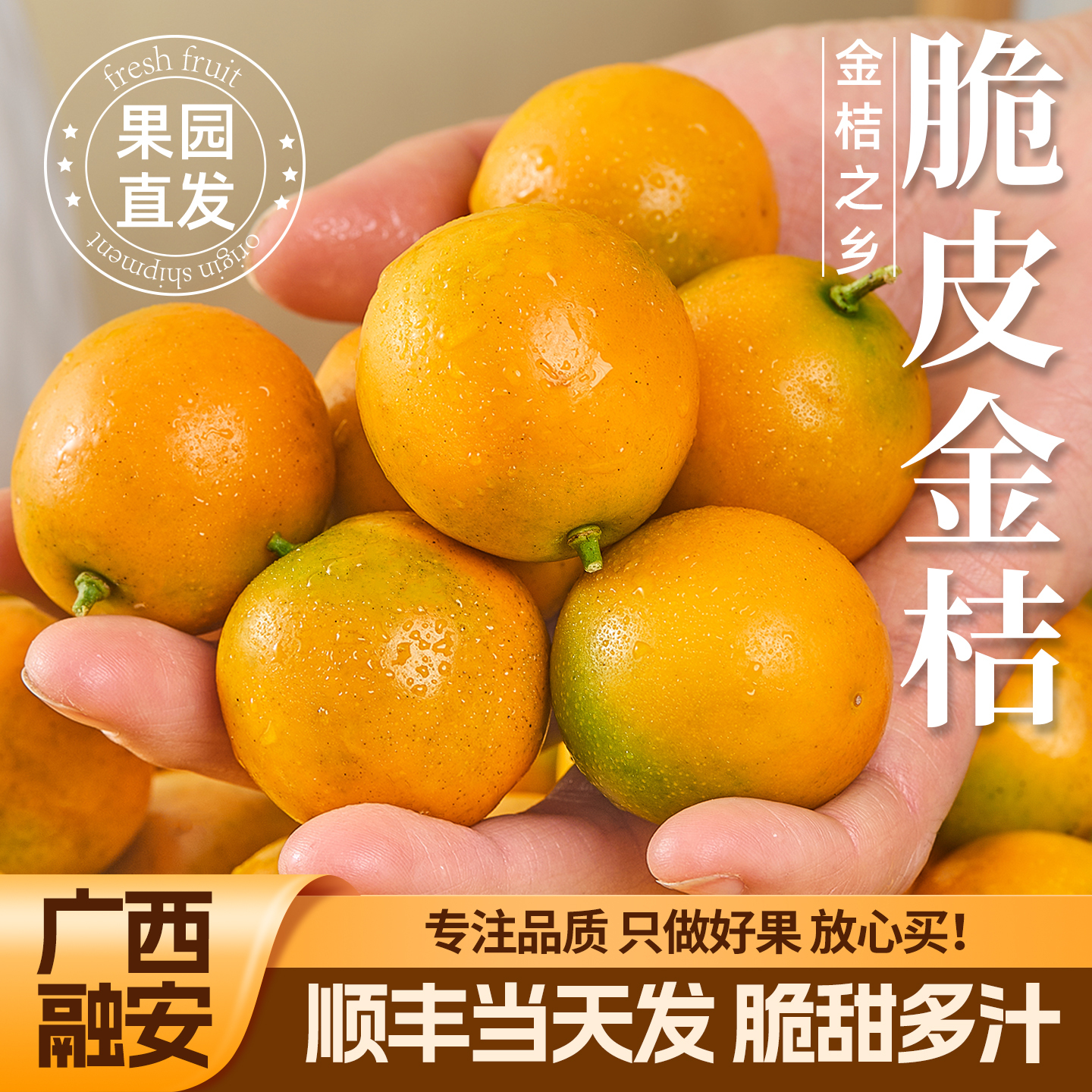 脆甜口感广西融安脆皮金桔脆甜