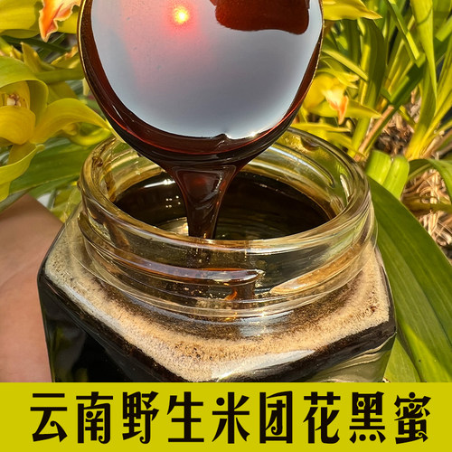 野生米团花黑蜜云南土蜂蜜宝小妹