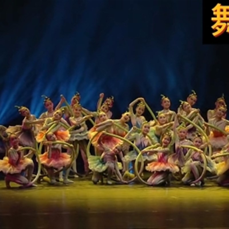 第十二届小荷风采风铃子舞蹈服蓬蓬纱裙道具