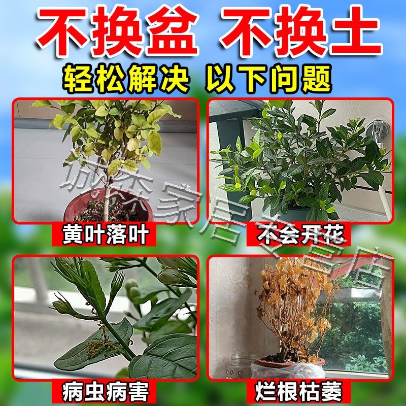 茉莉花复活液叶子发黄养花杀菌专用药肥快速爆花粉一喷绿生根药水