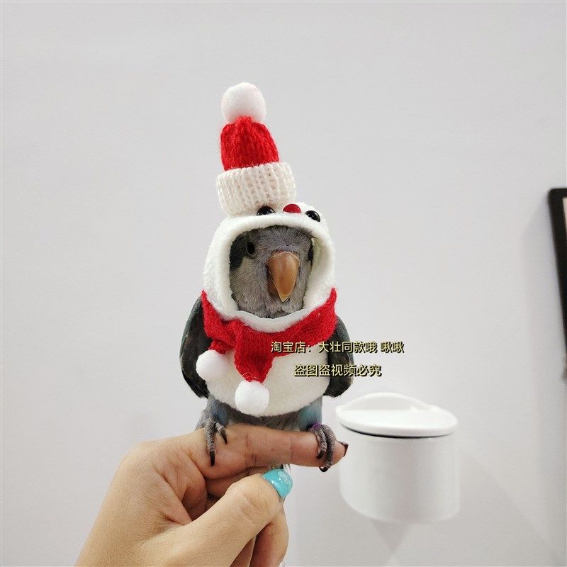 小雪人款小型宠物玄凤鹦鹉鸟衣服冬季加绒加厚保暖卫衣飞行棉服,宠物/宠物食品及用品,鸟禽服饰,淘宝优惠券,粉丝福利购,淘宝优惠卷