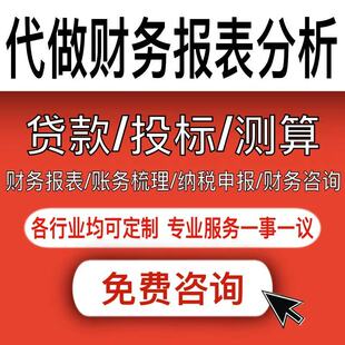 财务报表分析 会计做账财务梳理纳税申报利润表明细账表 代做代写