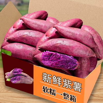 新鲜紫薯9斤农家自种沙地红薯紫罗兰蜜薯糖心甜山芋番薯蔬菜地瓜