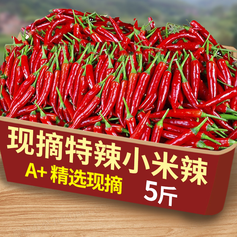 新鲜小米辣椒5斤现摘小米椒朝天椒特辣超辣薄皮红辣椒指天椒包邮