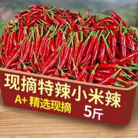 新鮮小米辣椒5斤現(xiàn)摘小米椒朝天椒特辣超辣薄皮紅辣椒指天椒包郵