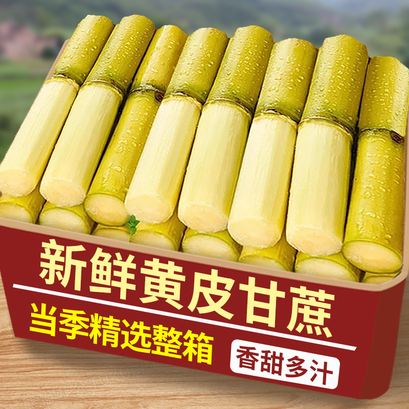 正宗黄金甘蔗新鲜水果9斤当季特
