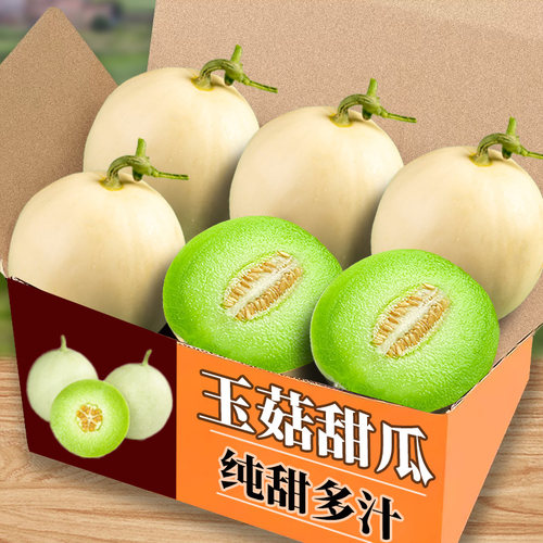 纤果吧玉菇甜瓜当季新鲜水果整箱
