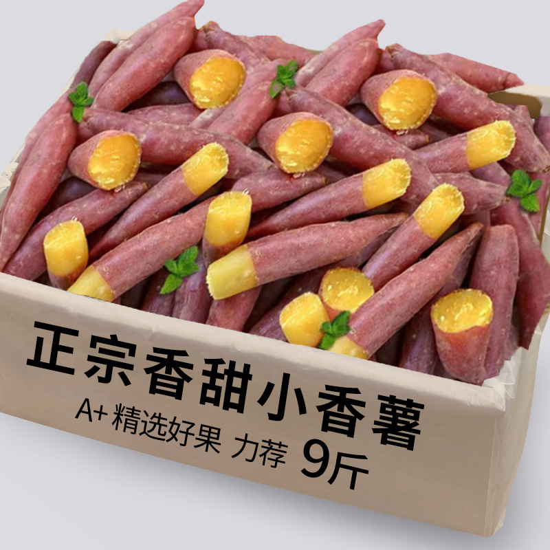 新鲜临安天目山小香薯5斤正宗红薯板栗薯黄心迷你地瓜蜜山芋蕃薯2
