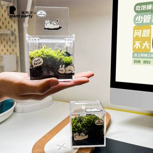植物派 · 创意微景观桌面diy微观苔藓迷你盆栽绿植物摆件生态瓶
