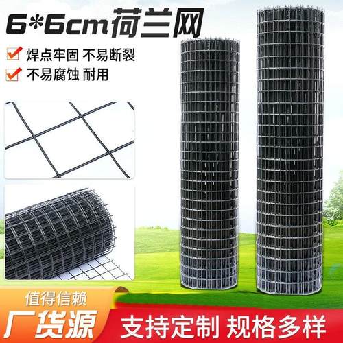 现货荷兰网 6*6cm网孔养殖网菜园果园浸塑围栏养鸡隔离栅栏