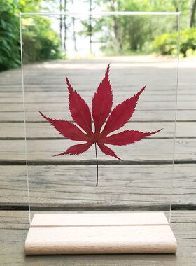 银杏叶书签塑封成品创意红干花渐变色天然枫叶标本礼物真树叶植物