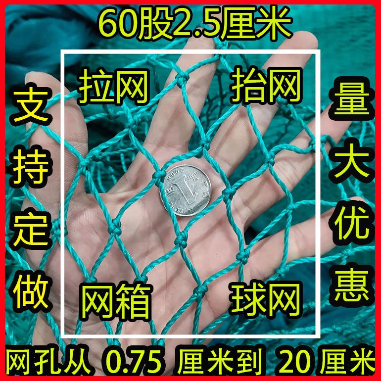 60股2 .5/1/2/3厘米渔网养鸡养殖防鸟网楼梯洞口防坠安全围网顶网