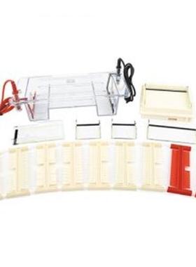 DYCP-31DN型琼脂糖水平电泳仪北京六一小号琼脂糖水平电泳槽 桥式