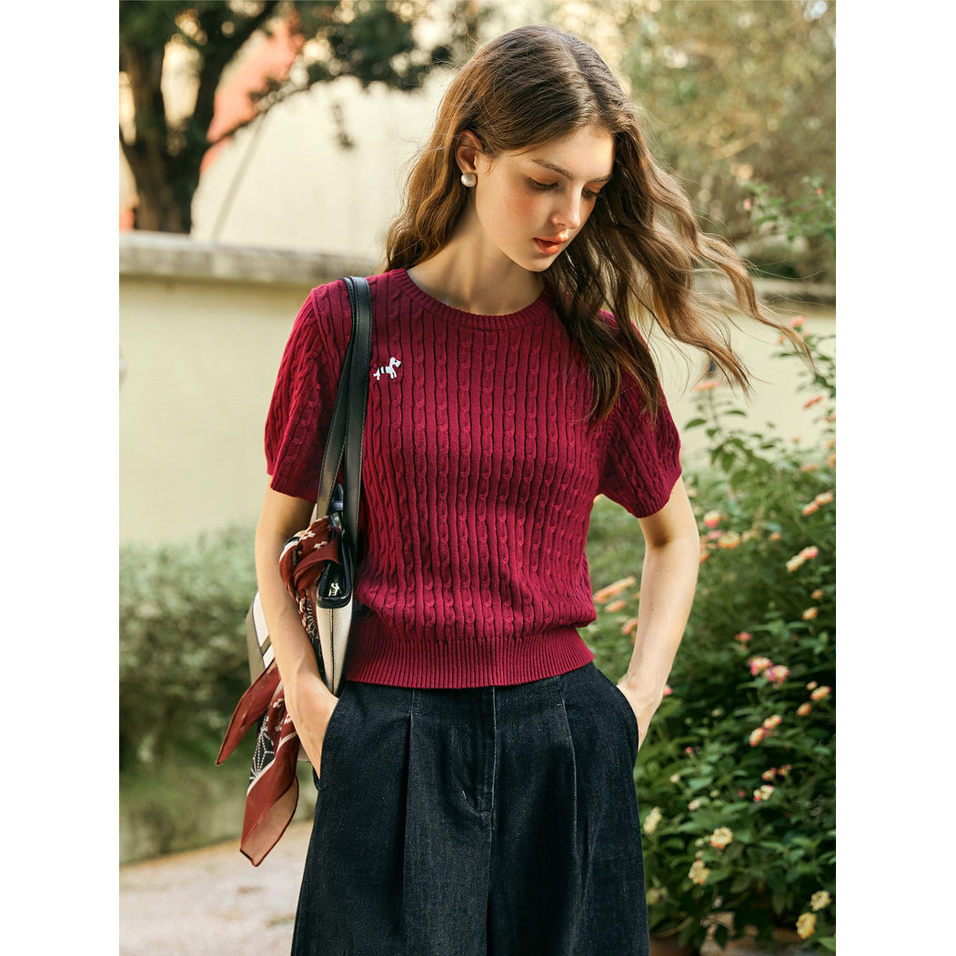 法式复古红色短袖针织T恤女夏季高级感休闲宽松外穿POLO衫上衣薄