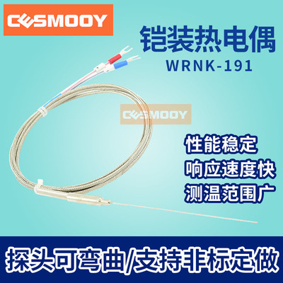 K型铠装热电偶 WRNK-191 E型J型热电偶 探针热电偶 温度传感器