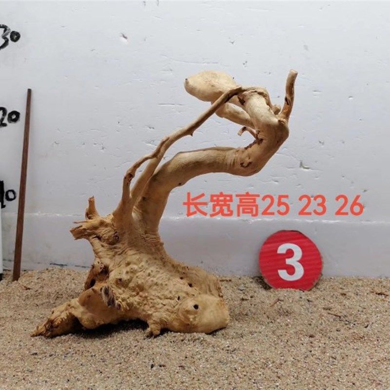 杜鹃根草缸造景素材一木成景水陆缸雨林缸沉木树型莫斯树骨架水草