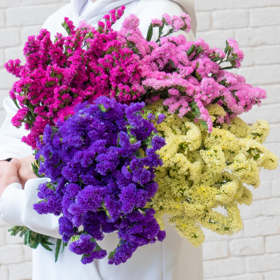 云南天然风干勿忘我鲜花干花真花花束插瓶装饰客厅卧室半干花材