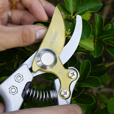 佳盛果树剪刀园艺剪刀修枝剪家用树枝剪子工具修花剪刀园林粗枝剪