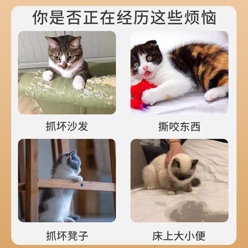 防猫乱尿神器橘子味喷雾剂驱猫禁区防止猫咪上床强力赶猫讨厌的水图片