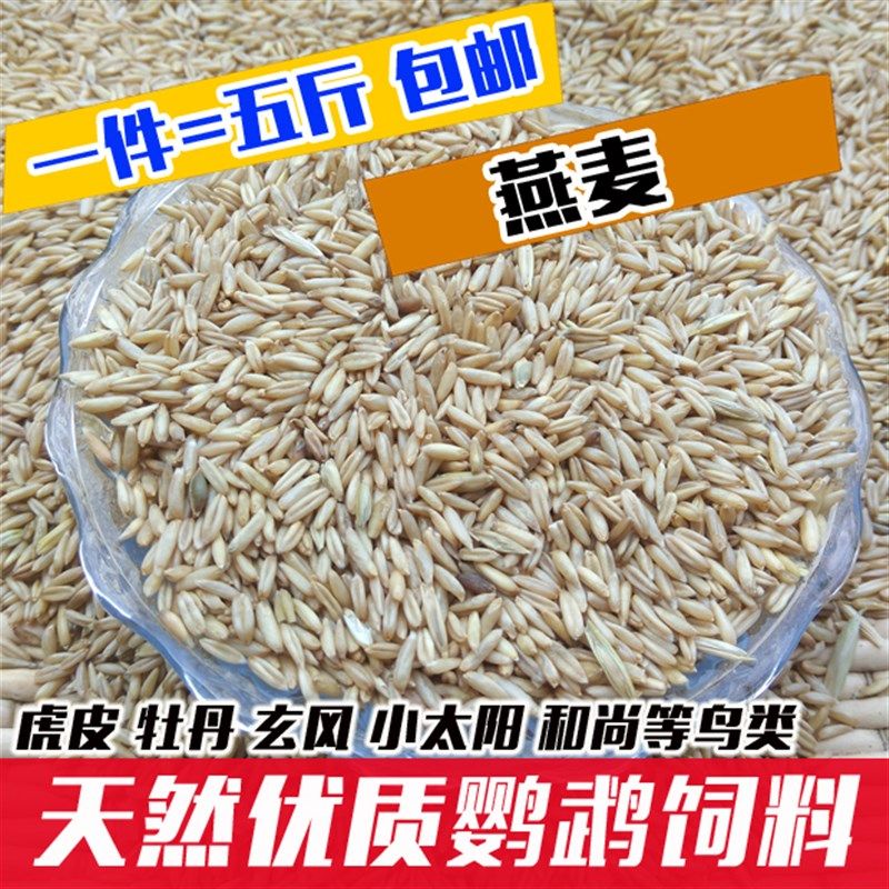 优质燕麦米 燕麦仁 野麦  燕麦 鸟类 鸟食粮食 鼠粮5斤装包邮,宠物/宠物食品及用品,鸟食,淘宝优惠券,粉丝福利购,淘宝优惠卷