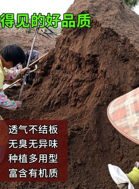 种菜养花种树泥炭土种植土通用型营养土腐殖基质土壤改良花园回填