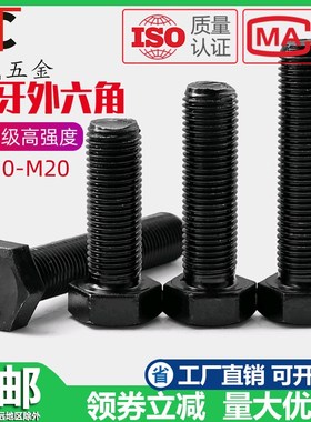 M10*1.25M14M12M18*1.5M24M27*2 10.9级R全牙细牙外六角螺丝钉螺