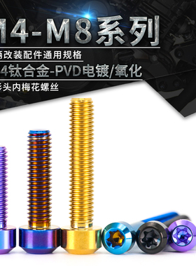 TC4钛合金锥头内梅花螺丝M4M5M6M8锥型头螺丝钉PSVD摩托车改装螺