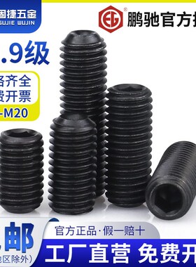 M2-M20高强度鹏驰紧定机米螺钉12.9级黑色凹端螺V丝内六角无头顶