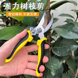 不锈钢修枝剪刀家用园艺剪刀园林粗果树剪修剪树枝剪刀剪枝专用剪