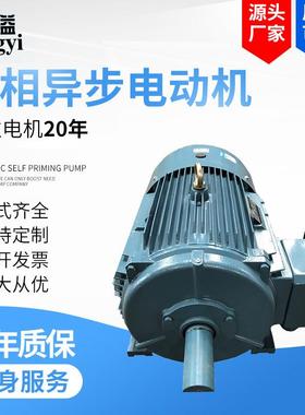 Y2-250M-455w三相异步电动机交流马达YE2/YE3