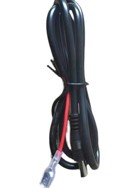 地磅仪表12伏12v小电瓶柯力耀华丁松3168/9800/2008/D12/A9/.K9/D