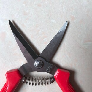 编藤剪刀葡萄修枝剪园艺采果芽剪刀修花柑橘子摘果稀果剪水果蔬果