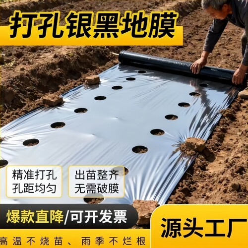 农用银黑双色打孔蔬菜地膜
