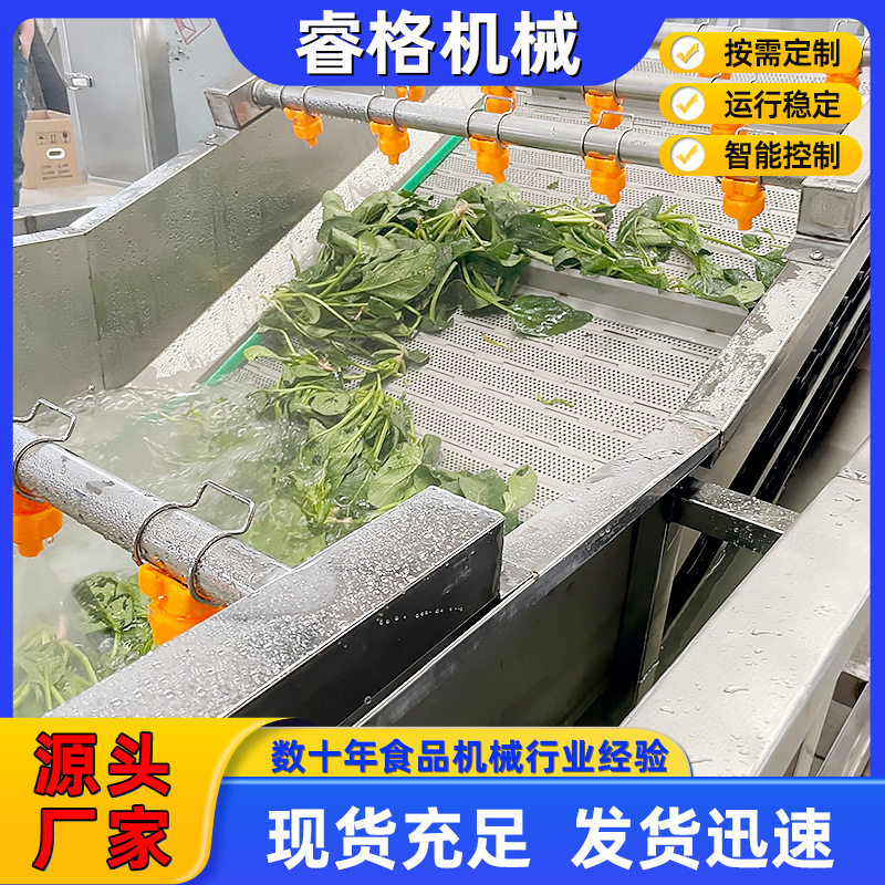 橙子气泡清洗机 圣女果蓝莓自动清洗机 树莓杨梅气泡清洗机
