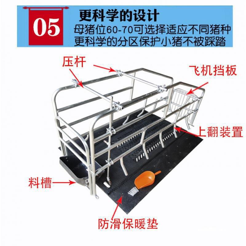 落地式母猪产床保育两用热镀锌猪用定位栏限位栏猪场养殖猪栏猪笼