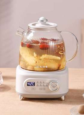 尚朋堂SPT-HC801D-H65 全玻璃迷你养生杯1L多功能烧水花茶壶