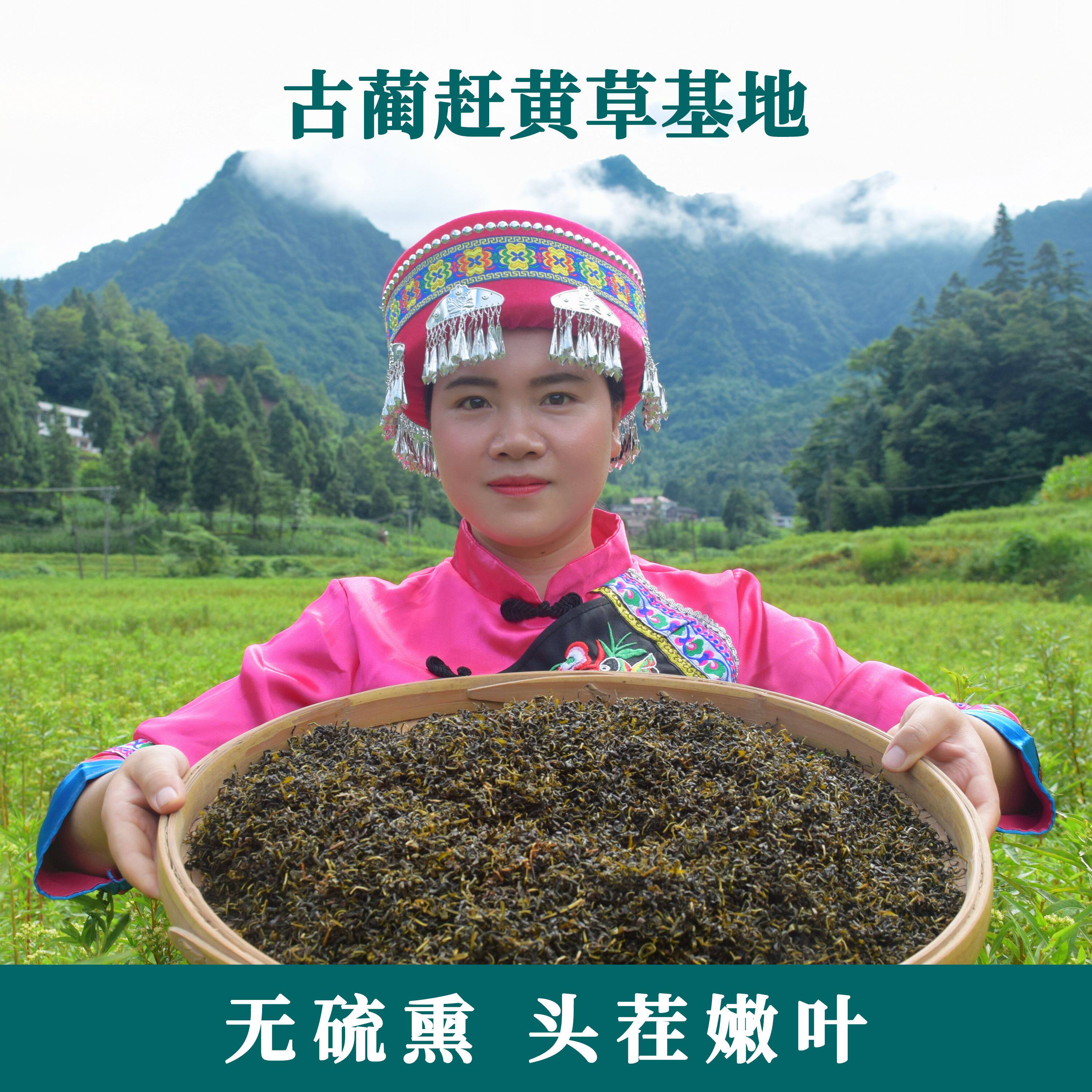 古蔺基地直发头茬赶黄草非野生旗舰店