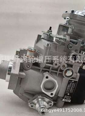 油泵196000-5710 119775-51920和0460416069和0460426528 5317366