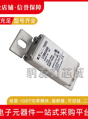 170M2658/2659/2660/2661/2662/2663/2664/2665全新熔断器现货