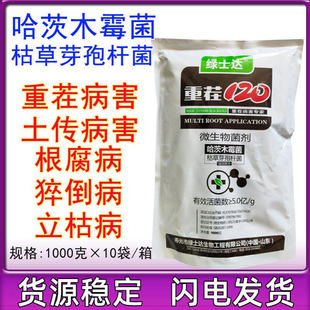 潍坊绿士达重茬120哈茨木霉菌 木霉菌根部型土传病害1000克