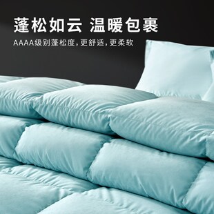 仙娥羽绒夏被空调被芯95羽绒被春秋被夏季薄被子冬季冬被加厚保暖