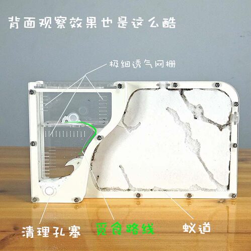 蚂蚁城堡蚂蚁工坊小宠物送蚁后群生态沙土巢沙堡蚁巢窝家园王国