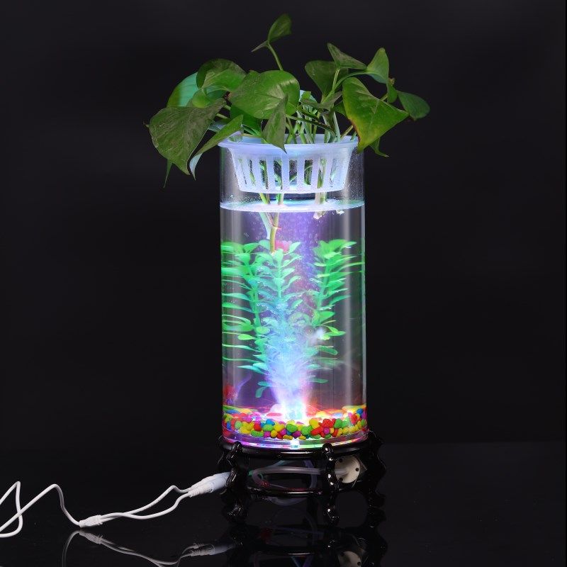 创意玻璃鱼缸水培植物花瓶透明客厅办公室桌面小型迷你金鱼缸,宠物/宠物食品及用品,桌面缸,淘宝优惠券,粉丝福利购,淘宝优惠卷
