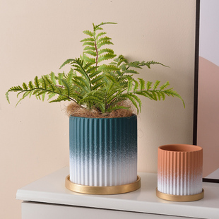 创意郁金香盆栽个性 北欧简约陶瓷花盆带托盘家用绿萝蝴蝶兰绿植