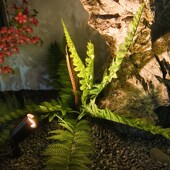 户外射灯防水射树灯led庭院花园照树灯景观别墅地插灯草坪插地灯