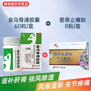 神奇金乌骨通胶囊风寒湿痹肢体麻木筋骨止痛贴风寒湿邪关节疼痛