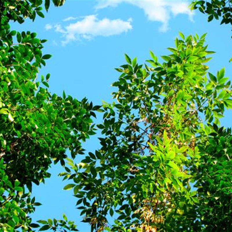 蓝天白云天空风格软膜天花吊顶透光膜拉膜广告灯箱UV软膜灯箱素材