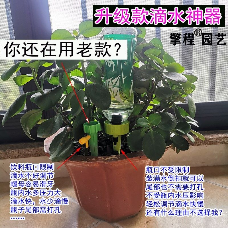 自动滴灌器花盆滴水器饮料瓶矿泉水瓶懒人浇花滴水工具渗水浇水器,工业油品/胶粘/化学/实验室用品,实验室漏斗,淘宝优惠券,粉丝福利购,淘宝优惠卷