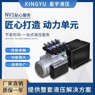 液压动力单元总成220V小微型双向液压泵站电动升降平台油缸